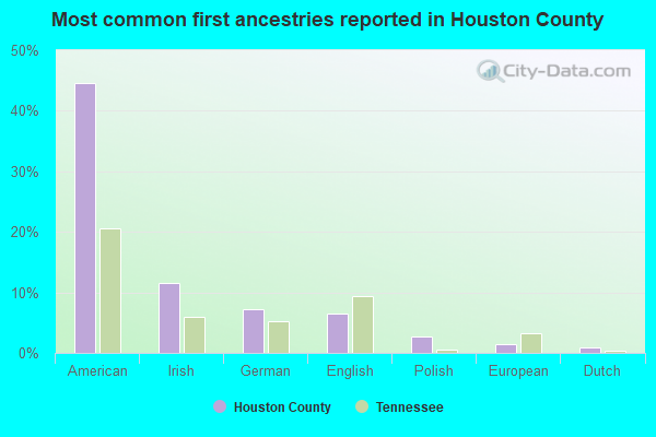 Most common first ancestries reported in Houston County