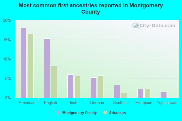 Most common first ancestries reported in Montgomery County