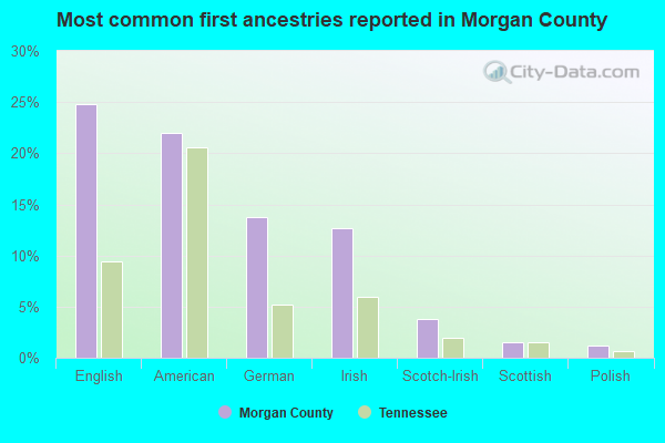 Most common first ancestries reported in Morgan County