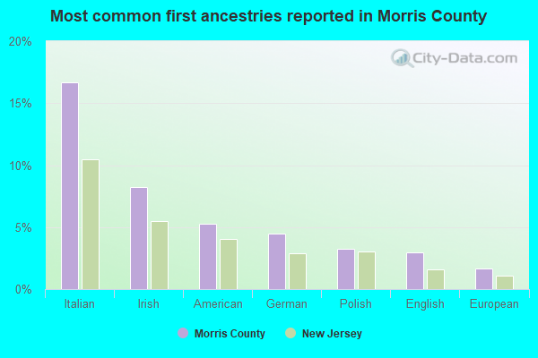 Most common first ancestries reported in Morris County