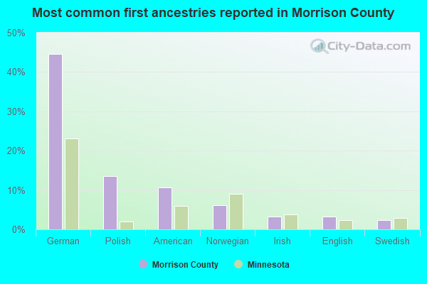 Most common first ancestries reported in Morrison County