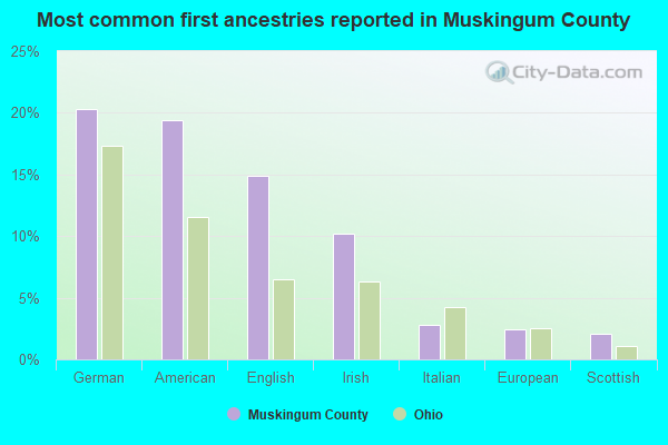 Most common first ancestries reported in Muskingum County