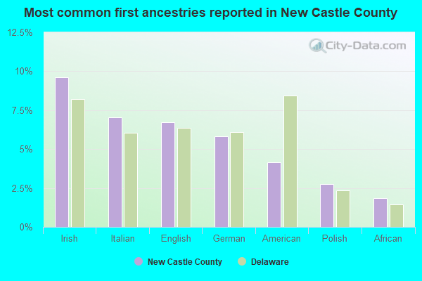 Most common first ancestries reported in New Castle County