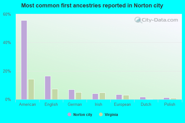 Most common first ancestries reported in Norton city