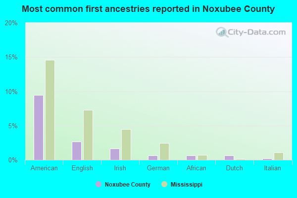 Most common first ancestries reported in Noxubee County