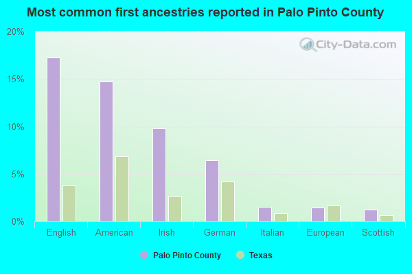 Most common first ancestries reported in Palo Pinto County