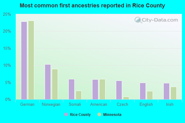 Most common first ancestries reported in Rice County