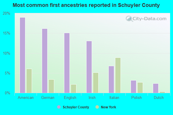 Most common first ancestries reported in Schuyler County