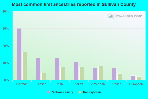 Most common first ancestries reported in Sullivan County