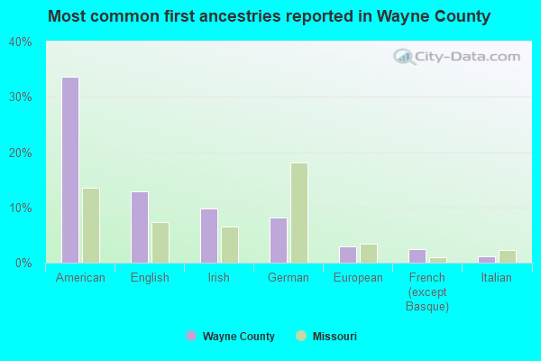 Most common first ancestries reported in Wayne County