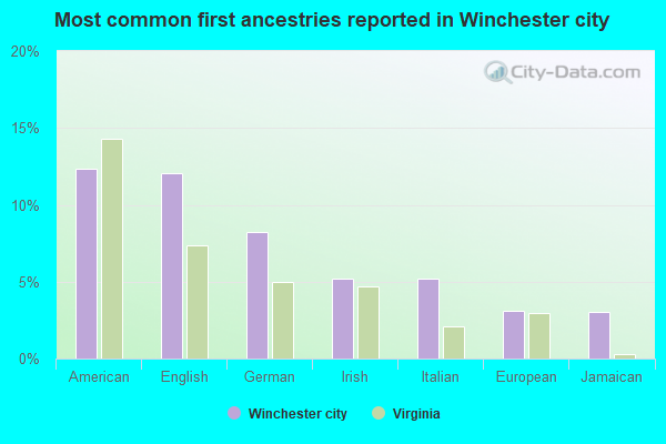 Most common first ancestries reported in Winchester city
