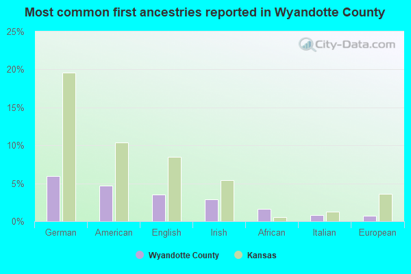 Most common first ancestries reported in Wyandotte County