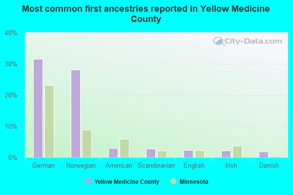 Most common first ancestries reported in Yellow Medicine County