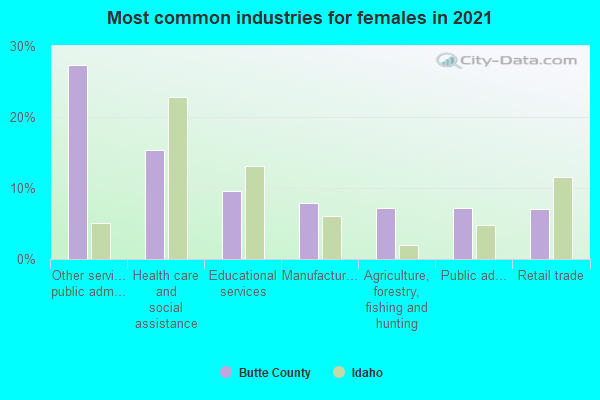 Most common industries for females in 2022