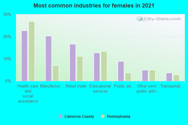 Most common industries for females in 2022