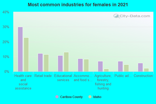 Most common industries for females in 2022