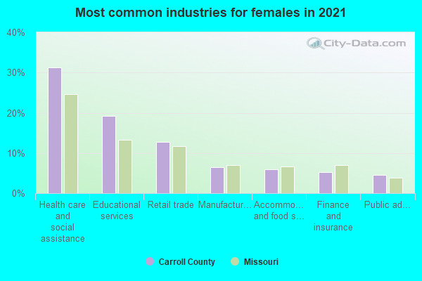 Most common industries for females in 2022