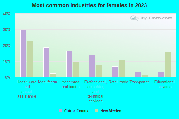 Most common industries for females in 2022