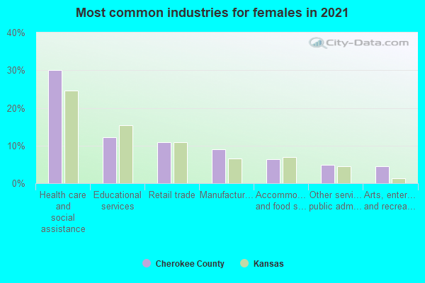 Most common industries for females in 2022