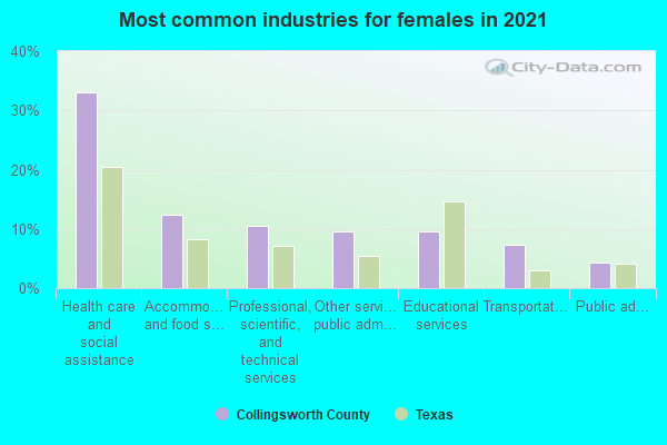 Most common industries for females in 2022