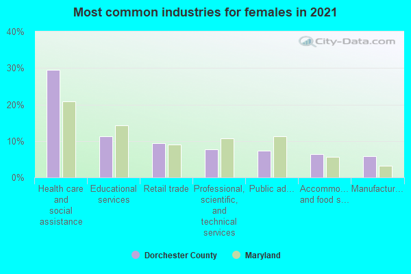 Most common industries for females in 2022