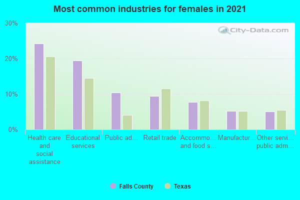 Most common industries for females in 2022