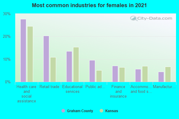 Most common industries for females in 2022