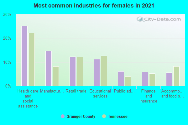 Most common industries for females in 2022