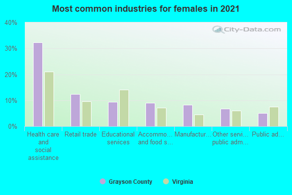 Most common industries for females in 2022