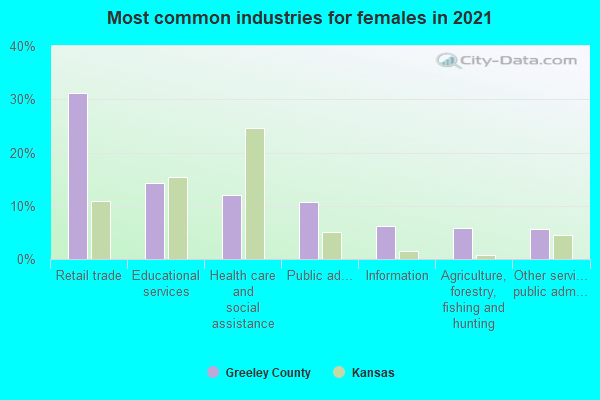 Most common industries for females in 2022