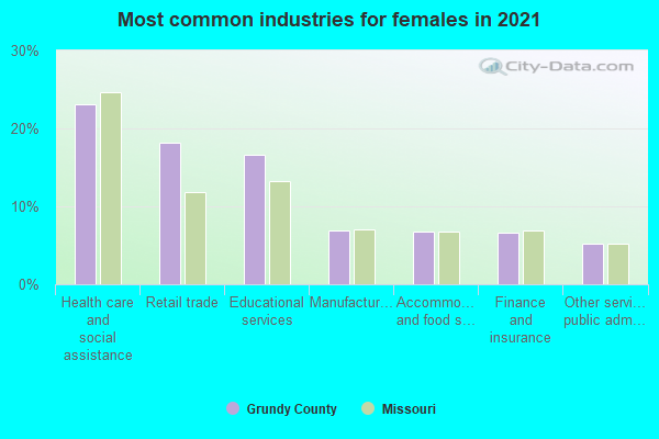 Most common industries for females in 2022