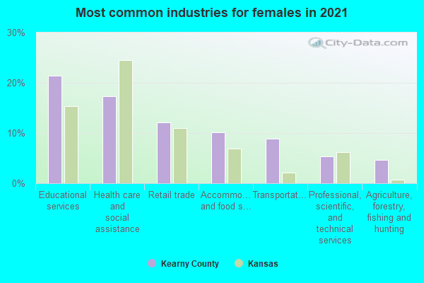 Most common industries for females in 2022