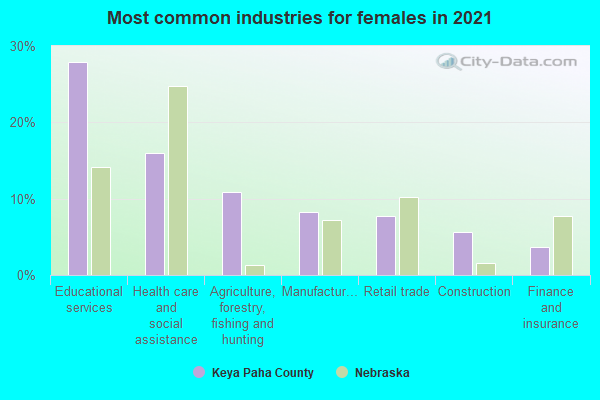 Most common industries for females in 2022