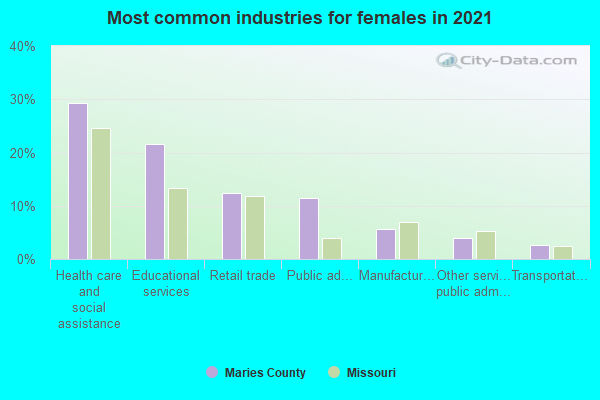 Most common industries for females in 2022