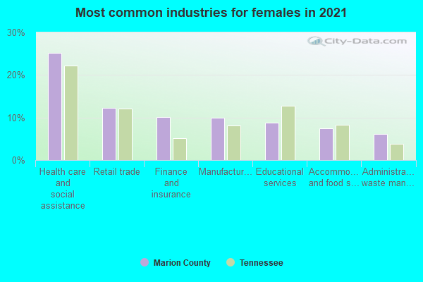 Most common industries for females in 2022