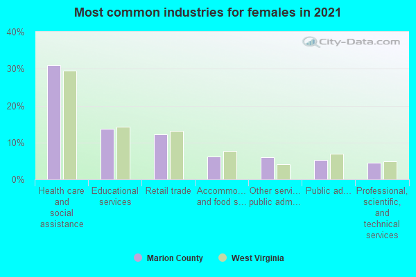 Most common industries for females in 2022