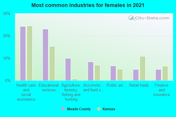 Most common industries for females in 2022