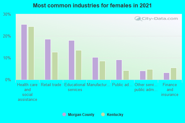 Most common industries for females in 2022