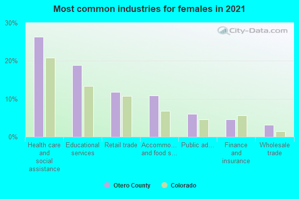 Most common industries for females in 2022