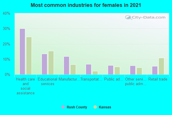 Most common industries for females in 2022