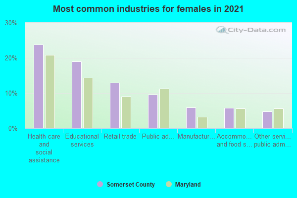 Most common industries for females in 2022