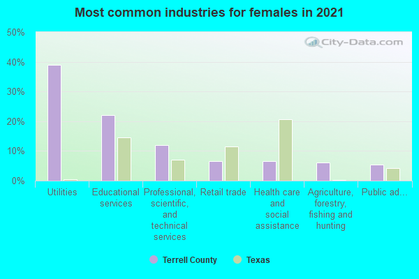 Most common industries for females in 2022