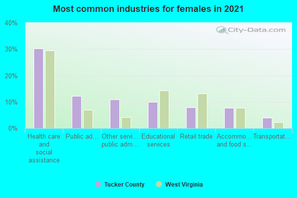 Most common industries for females in 2022