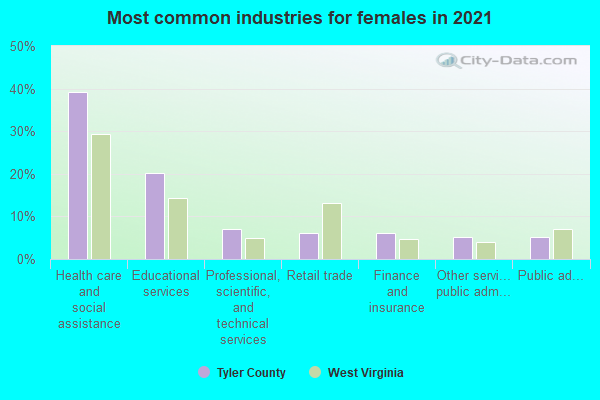 Most common industries for females in 2022