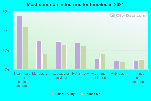 Most common industries for females in 2022