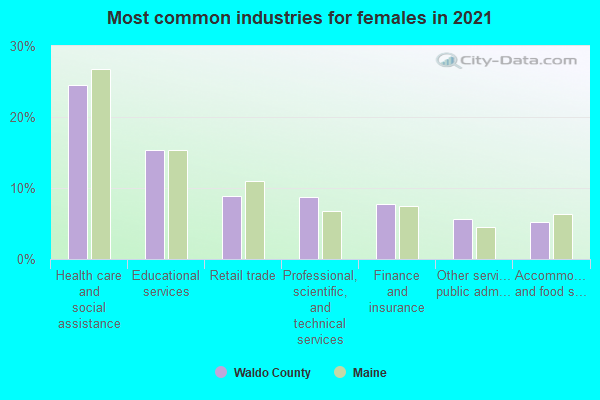 Most common industries for females in 2022