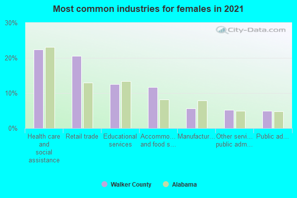Most common industries for females in 2022