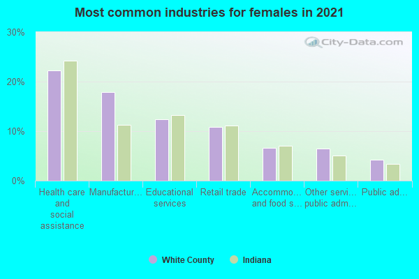 Most common industries for females in 2022