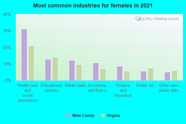 Most common industries for females in 2022