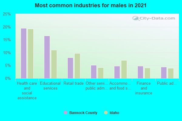 Most common industries for males in 2022